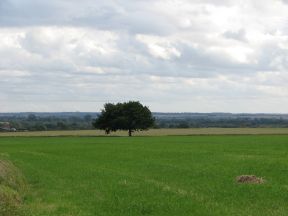 Greenwich Meridian Marker; England; Cambridgeshire; Bluntisham